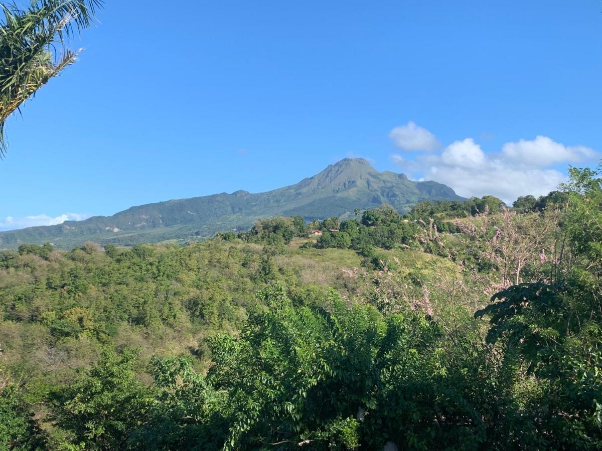 Lodge Colibris Piscine Privee Vue Panoramique Mer Et Montagne Pelee , 500 M Plage Dans Un Parc , Calme Assure Ideal Pour Decouvrir Le Nord Caraibes Ле Карбе Екстериор снимка