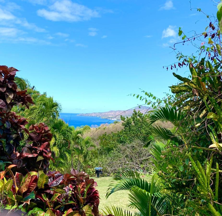 Lodge Colibris Piscine Privee Vue Panoramique Mer Et Montagne Pelee , 500 M Plage Dans Un Parc , Calme Assure Ideal Pour Decouvrir Le Nord Caraibes Ле Карбе Екстериор снимка