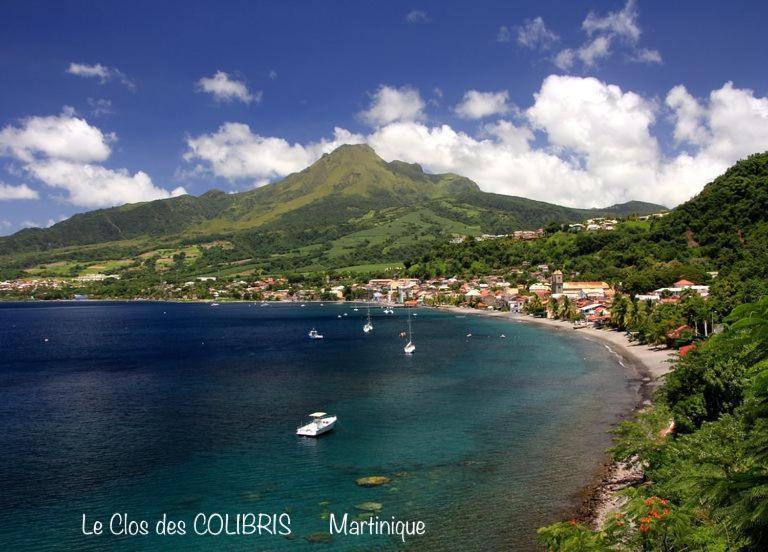 Lodge Colibris Piscine Privee Vue Panoramique Mer Et Montagne Pelee , 500 M Plage Dans Un Parc , Calme Assure Ideal Pour Decouvrir Le Nord Caraibes Ле Карбе Екстериор снимка