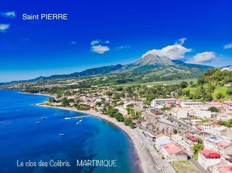 Lodge Colibris Piscine Privee Vue Panoramique Mer Et Montagne Pelee , 500 M Plage Dans Un Parc , Calme Assure Ideal Pour Decouvrir Le Nord Caraibes Ле Карбе Екстериор снимка